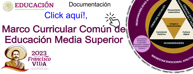 Documentación del Marco Curricular Común de Educación Media Superior