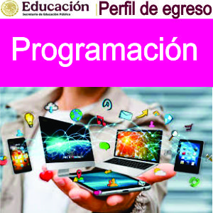 Programación