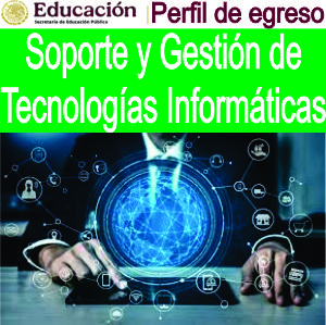Soporte y Gestión de Tecnologías de la Información